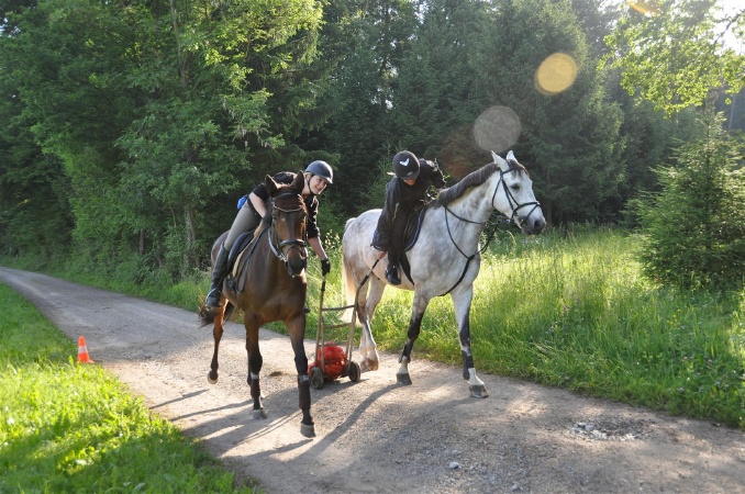 DSC_0107 - HOMEPAGE.JPG